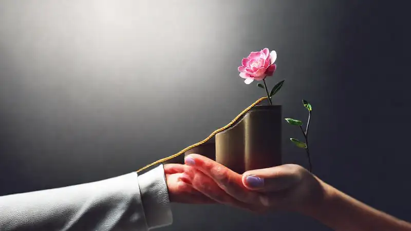 Crecimiento financiero seguro y profesional